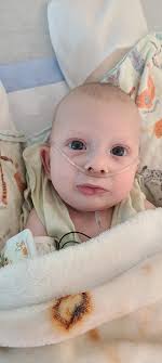 We have an answer about Wesley. He has a large absess in his throat. That  explains a lot of things . They have to drain it so it will not smother the