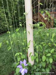 Check spelling or type a new query. Flower Pot Trellis Ideas