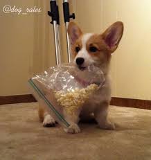 Abby Desouza (@desouzam_abby)