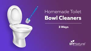 Those cleaners may clean, but they may also harm you and your family in the process. Homemade Toilet Bowl Cleaner 3 Natural Recipes For The Bowl And Tank