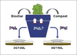 I am trying to use qdnaseq for hg38 and thus need to use hg38 rds file. Conventional And Novel Techniques For The Determination Of Hg Uptake By Lettuce In Amended Agricultural Peri Urban Soils Sciencedirect