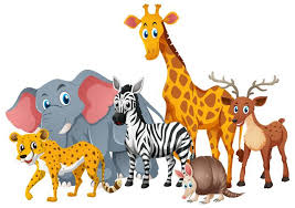 Resultado de imagen de wild animals