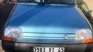 Image result for Bleu Adriatique 1995 Renault