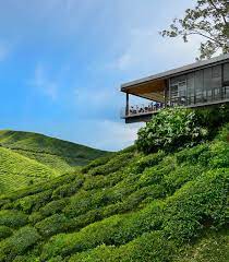 The panorama is something straight out of fantasy. Visit Our Tea Gardens Boh Tea