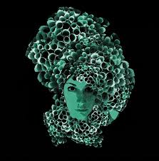 Pin On Junk Bookshop