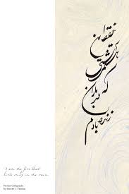 Birds Of A Feather Flock Together Meaning In Urdu Persian Farsi Translation Of I Am The Fire That Lives Only In The Rain Original Persian Farsi Ca Persian Tattoo Calligraphy Tattoo Inspirational Tattoos
