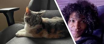 Man steals, threatens to kill ex's cat in York County, cat returned : Police