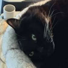 Caleb Cyprian (@ccyprian24)