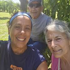 How to rescue a dog in need of urgent help?