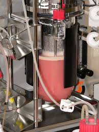 This category has the following 19 subcategories, out of. Datei Animal Cells Cultivation In Fermenter Jpg Wikipedia