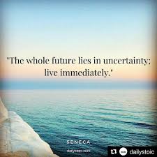 The Whole Future Lies In Uncertainty Live Immediately Seneca Dailystoic Dailystoicism Repost Dailystoi Life Quotes Uncertainty Quotes Courage Quotes