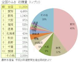 フキ 蕗 ふき 旬の野菜百科
