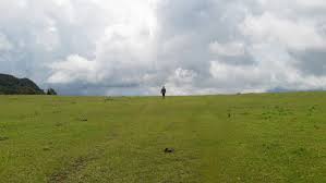 Meledak gelembung beraneka warna bersama dengan karakter menawan dari game online bubble meadow. Fulan Fehan Padang Rumput Indah Di Ujung Perbatasan Ntt