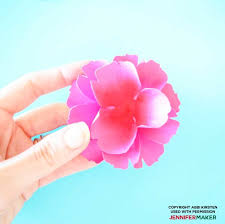 Free Free Poppy Flower Outline Svg SVG PNG EPS DXF File