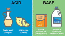 Difference Between Acids and Bases: Key Properties | YourDictionary