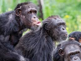 Karlye taylor onlyfans videos vicky was touring my locality