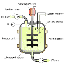 Bioreactor Principle Bioreactor Wikipedia The Free Encyclopedia System Monitor Engineering Used Engines