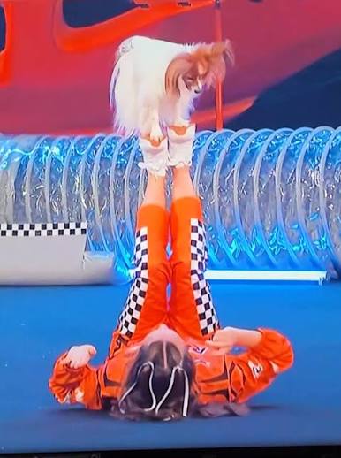 Olivia Befus and Dog 2026 Agt | TikTok