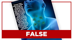 False Gargling Salt Water Eliminates Coronavirus