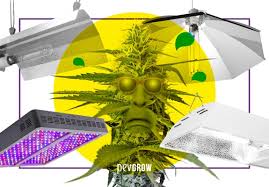 Based on your growing space,you can consider about mars ii 1200,the power consumption is 120v: Best Lighting For Growing Cannabis Plants