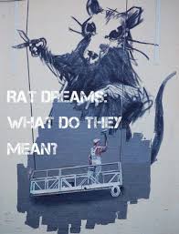 The reason for discomfort is i kept thinking to myself that i would bother them, and that it was best if they went on with their day without feeling upset. Rat Dream Meanings And Interpretations Exemplore