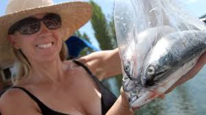 Check out these kokanee hot spots