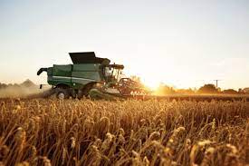 Basket acc with wheat l hand rings. Wheat Quality Encourages Us Millers 2020 07 09 World Grain
