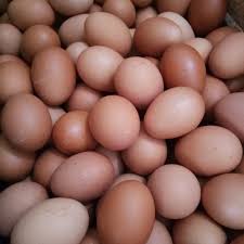 Jual Telur Ayam Negeri 1kg Jakarta Pusat Toko Telur Atju Tokopedia