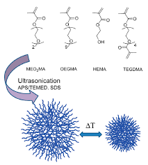 Gels Free Full Text Thermoresponsive Nanogels Based On Different Polymeric Moieties For Biomedical Applications Html