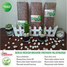 Makanan ini juga mengandung sifat antioksidan yang baik dalam melawan radikal bebas. Beras Merah Organik Premium Mlatiharjo Kemasan Vakum 1kg Shopee Indonesia