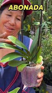 Sandra Masis (sandramasis10)