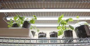 We did not find results for: Complete Diy Guide To Build Indoor Grow Light And Seed Starting System