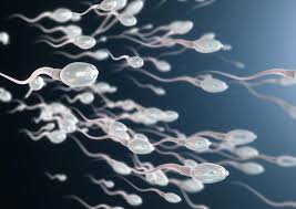 Maybe you would like to learn more about one of these? 5 Manfaat Bawang Putih Untuk Kesuburan Pria Dads Wajib Tahu Orami