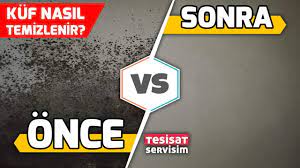 Silinerek çıkmayan küf lekelerinin temizlenmesi için her şeyden önce sirkeye başvurulabilir. Kuflu Duvar Tavan Nasil Temizlenir Youtube