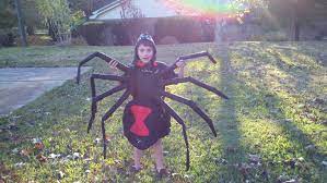The black widow spider you know, most likely the southern or western black widow, is actually one of many different widow species. Black Widow Spider Costume Complete With Spinnerets Fangs And Pedipalps Spider Costume Kids Costumes Halloween Costumes