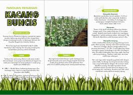 Kerajaan digesa menambah jumlah tanah pertanian dan jelapang padi negara bagi membolehkan aktiviti padi dirancakkan semula. Department Of Agriculture Negeri Sembilan Informasi Dan Aktiviti Pertanian