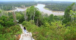 Pdf | konsep kph (kesatuan pengelolaan hutan) membagi kawasan hutan menjadi wilayah pengelolaan hutan terkecil sesuai fungsi masa itu diartikan sebagai kesatuan pemangkuan hutan, sebagaimana diterapkan. 10 Tempat Wisata Di Kapuas Hulu Terbaru Terhits Dikunjungi Borneo Id
