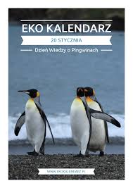 W tym artykule wskazujemy na ważne dla podatnika informacje, a także proponujemy rozwiązania. Dzien Pingwinow Eko Kalendarz