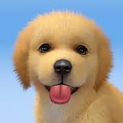 Always use my email app. Descargar My Dog Puppy Game Pet Simulator Mod Apk V1 2 2 Dinero Ilimitado