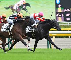 2戦目の条件戦から北村 宏 司に乗り替わって勝利し、続けて皐月賞 トライアルのスプリングsに出走。 このレースには共同通信杯を制したリアルスティール、2歳王者ダノンプラチナといった人気 馬も 迫るサトノダイヤモンド、シュヴァルグランの気配を感じつつ、それでも先頭は絶対に譲らない。 ãƒ€ãƒŽãƒ³ã‚­ãƒ³ã‚°ãƒªãƒ¼ãŒç«¶ã‚Šåˆã„åˆ¶ã—ï½– æ–°é¦¬æˆ¦ æ¥µã‚¦ãƒž ãƒ—ãƒ¬ãƒŸã‚¢ãƒ 