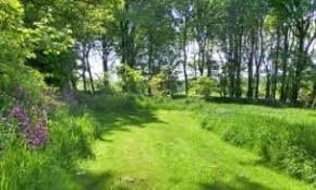 Founded on a sincere commitment to offer the same compassionate memorial pet care services we desired for our beloved family pet, felicia, final gift pet memorial center provides the most reputable and sensitive pet aftercare services available to the new england community of grieving pet parents. Pet Cemetery Pet Cremation Services In Devon Meadow Wood Devon