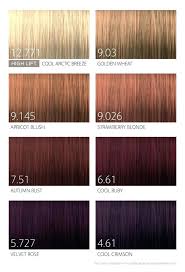 scruples hair color chart scruples true integrity hair color