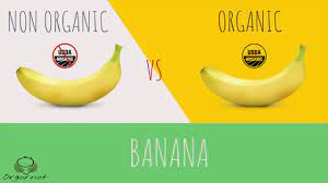 Quick Answer Should You Buy Organic Bananas Broadband Phone