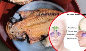 Kanser yang terbentuk adalah hasil daripada ketidakseimbangan sel di dalam tubuh, ketahui tentang permasalahan kanser serta cara yang biasanya digunakan bagi merawat penyakit yang boleh. Diet Pemakanan Seperti Ikan Kering Salah Satu Punca Kanser Hidung Buzzkini