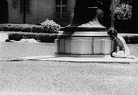 After the last of the suicides, the. University Of Texas Tower Shooting Wikipedia