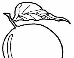Mereka memang telah terbiasa menggunakan internet di ponsel untuk mencari informasi gambar untuk dijadikan contoh. Mewarnai Gambar Buah Mangga Hitam Putih Mewarnai Gambar