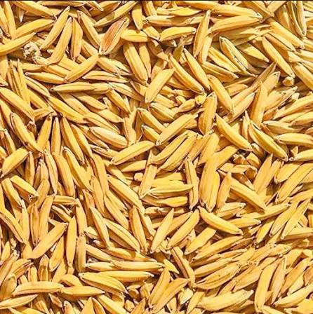 বাসমতি বীজ