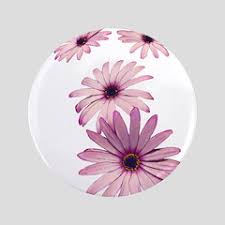 Daisy Wall Decal Sticker