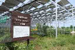 千葉エコ エネルギー株式会社の求人 千葉県 千葉市 稲毛区 弥生町 Indeed インディード