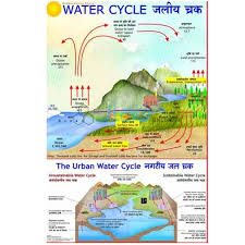 Water Cycle In Nature Chart India Water Cycle In Nature